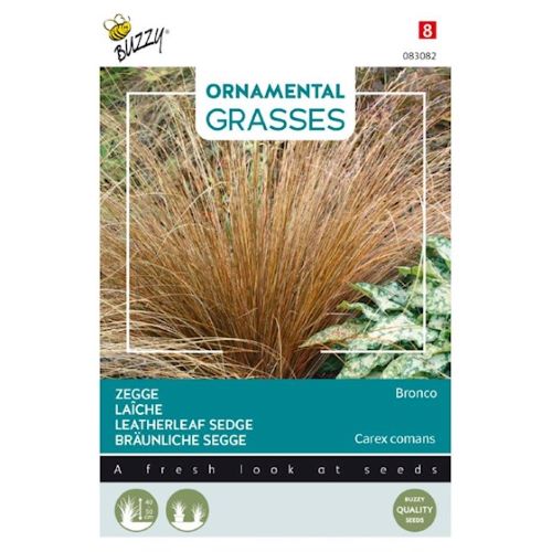 Carex Bronco Grass Seeds